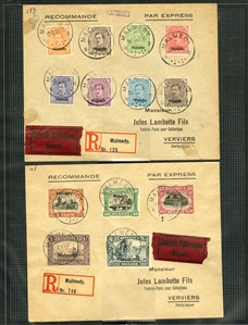 BELGIUM Belgian Occupation of Germany (1N1/58) 1919-21 interesting collection on album leaves with 1919-21 overprints, various sets, with Eupen and Malmedy issues, varieties, Postage Dues,